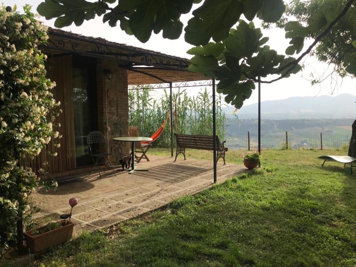 Podere Porcino Civitella dʼAgliano Eksteriør billede