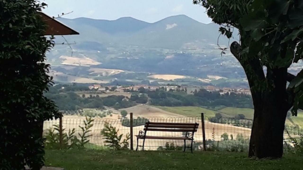 Podere Porcino Civitella dʼAgliano Eksteriør billede