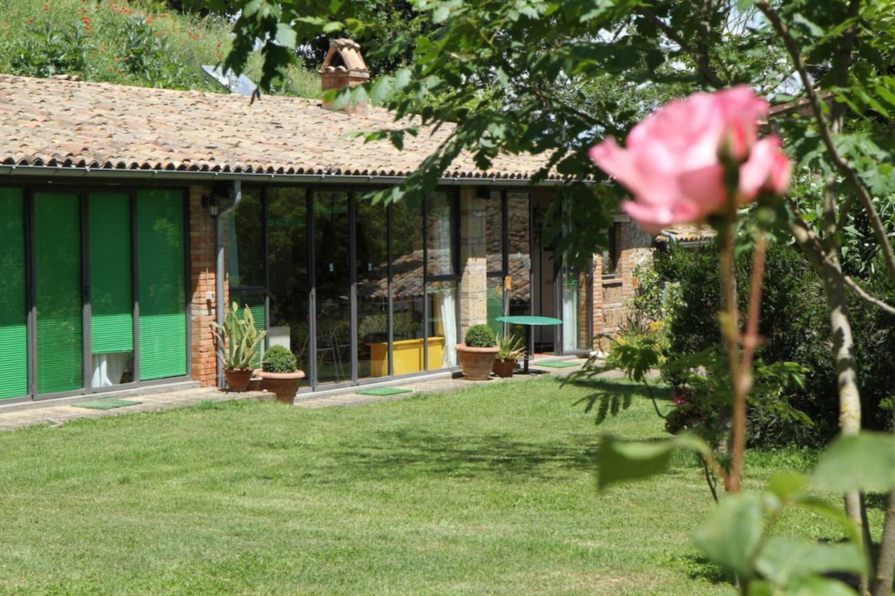 Podere Porcino Civitella dʼAgliano Eksteriør billede